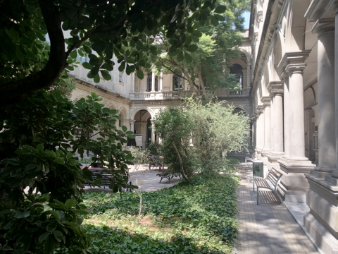 Patio Facultad