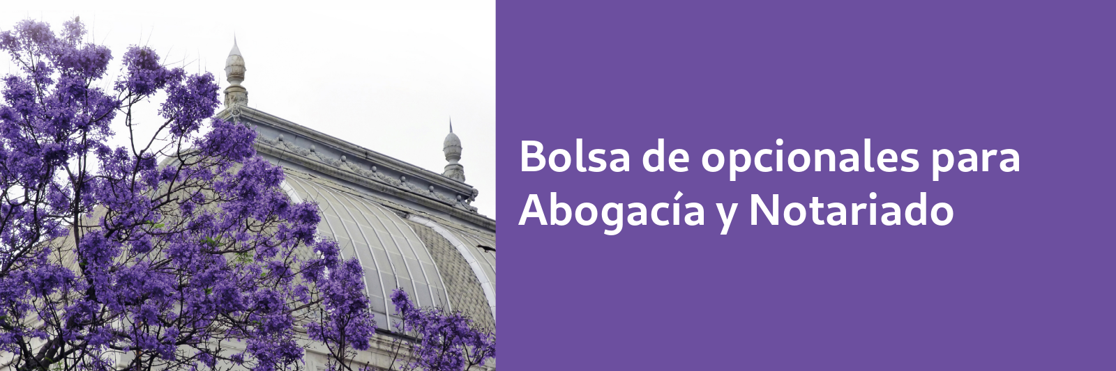 Bolsa opcionales