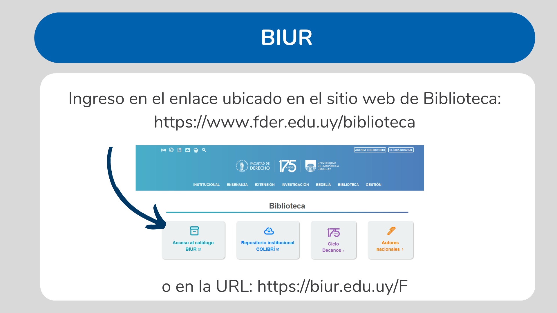 INGRESO ALEPH/BIUR