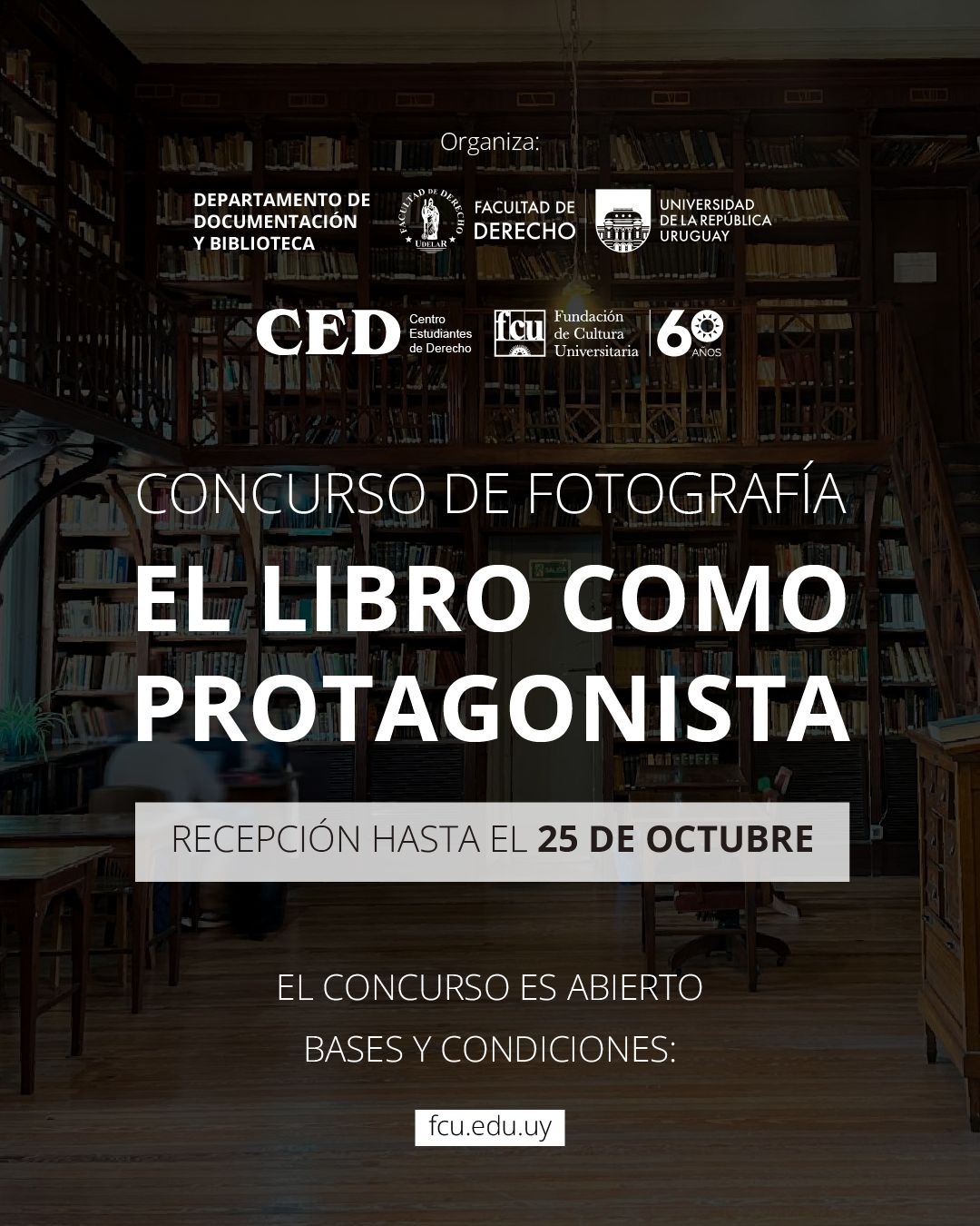 CONCURSO FOTOGRÁFICO - EL LIBRO COMO PROTAGONISTA