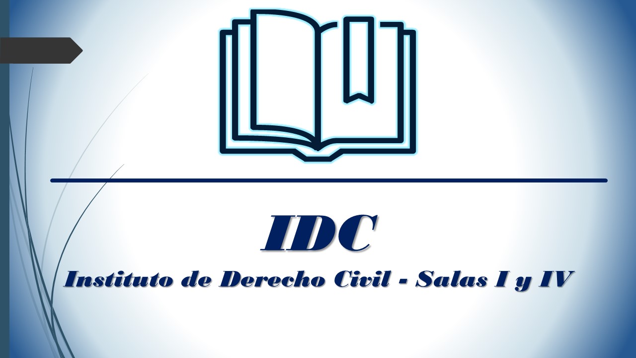 Logo Instituto Derecho Civil S IyIV