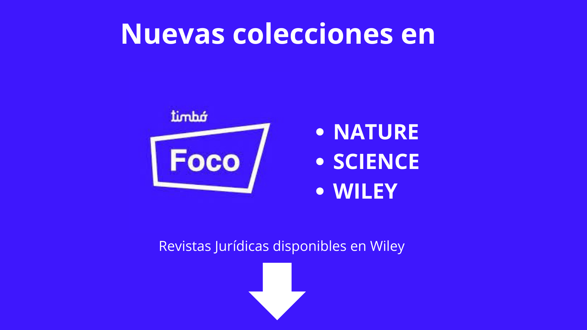 NUEVAS COLECCIONES TIMBÓ FOCO