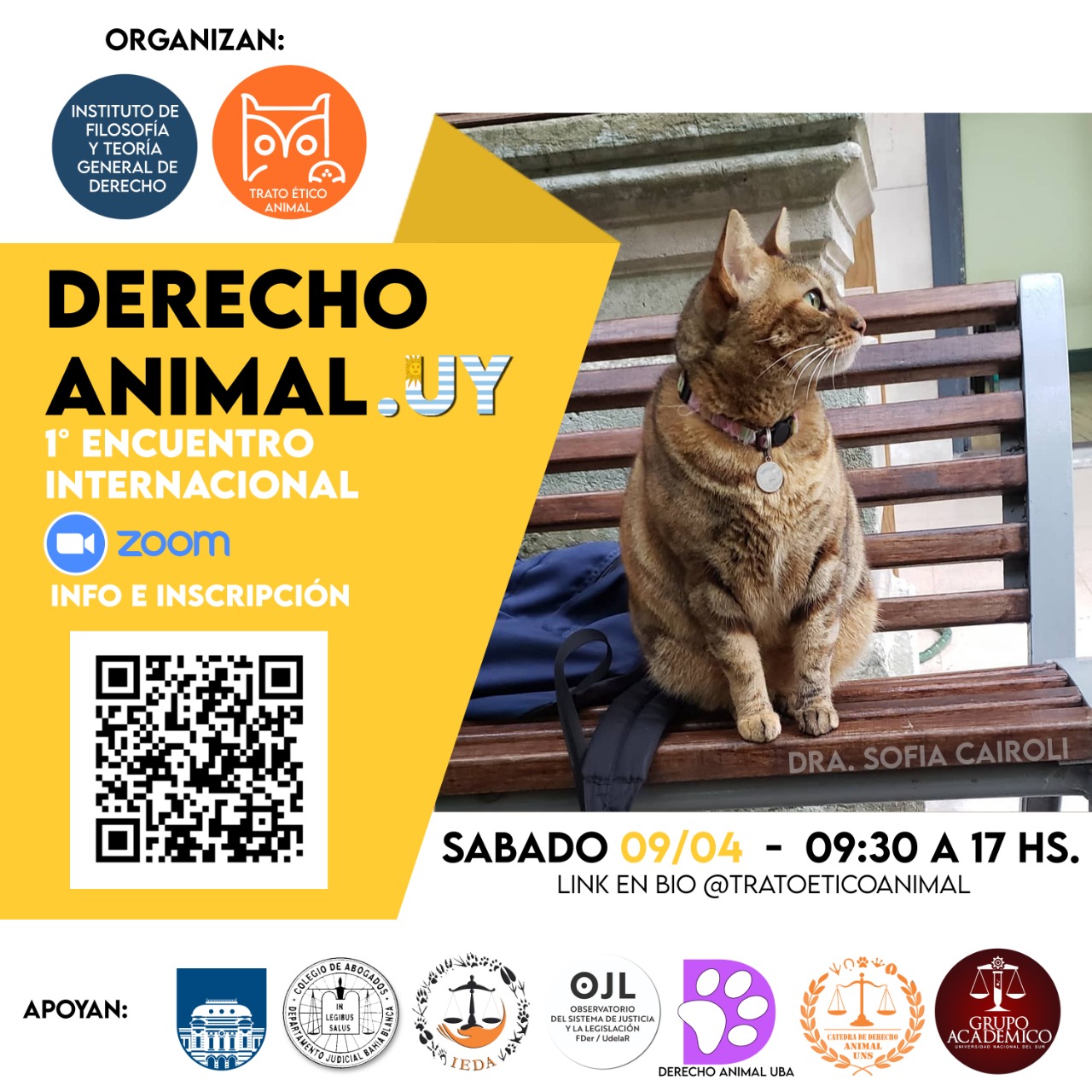 Derecho Animal