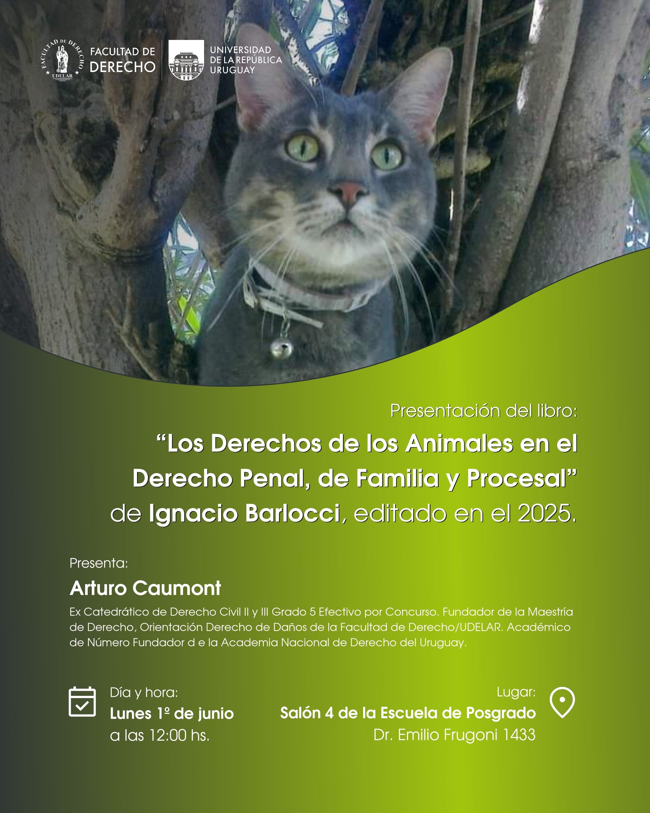 afiche actividad