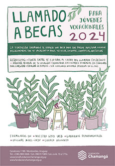 becas