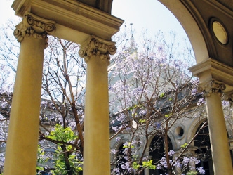 Edificio Central de Facultad