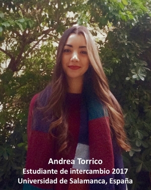 Andrea Torrico