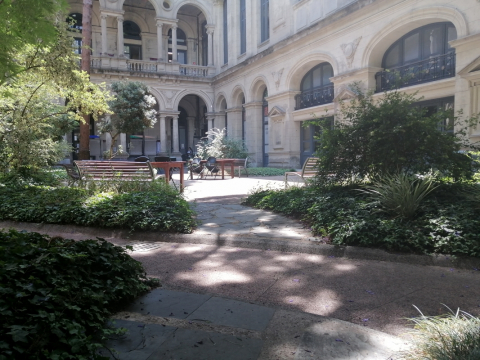 Patio Facultad