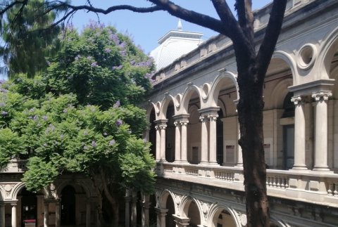 Patio de la Facultad