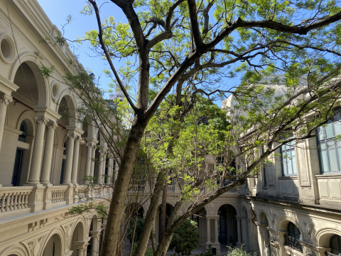 patio facultad