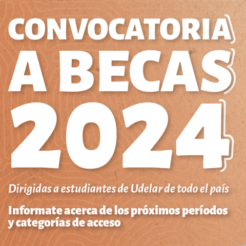 afiche becas