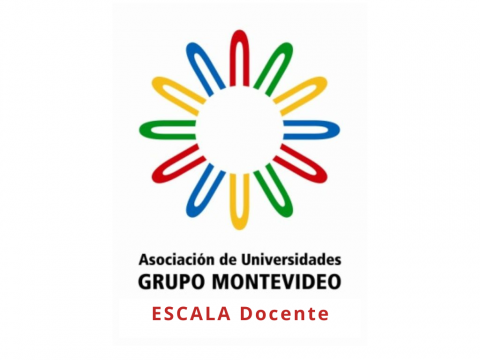 Logo Escala Docente