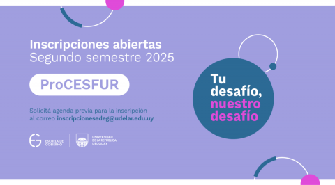 flyer programa