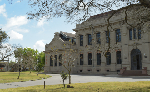 Campus "Luisi Janicki: pioneras universitarias"