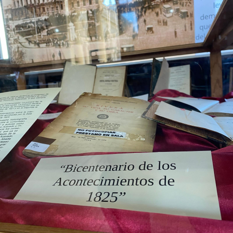 foto de la muestra