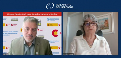 Gloria Canclini en el Parlasur