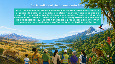 afiche cepal