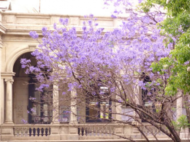 Edificio Central de Facultad