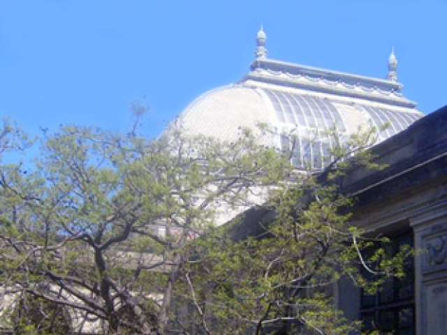 Edificio Central de Facultad