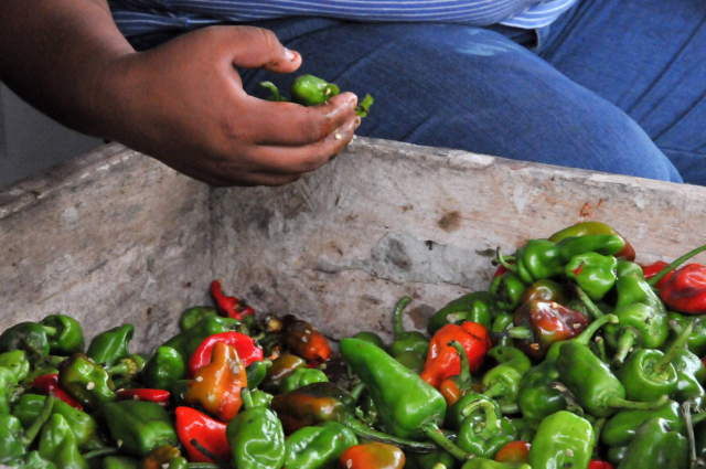 Lo que puede aprender España de la lucha contra el hambre en América Latina