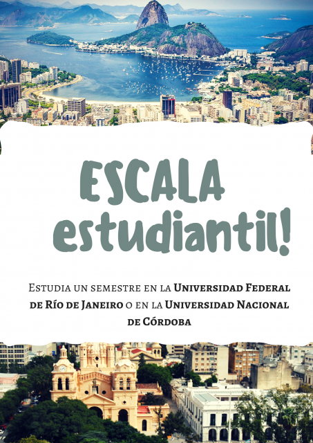 programa escala