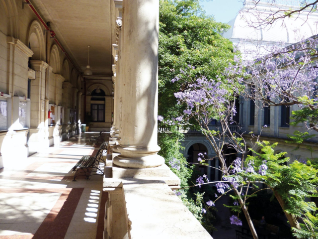 Patio Facultad de Derecho