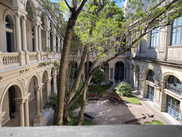 Patio facultad