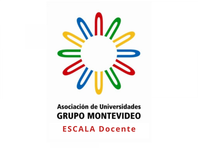 Logo Escala Docente