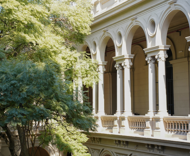 patio facultad