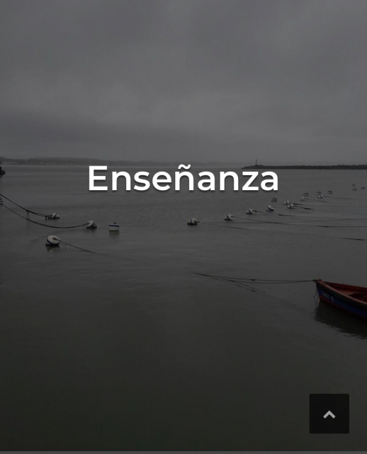 foto pesca